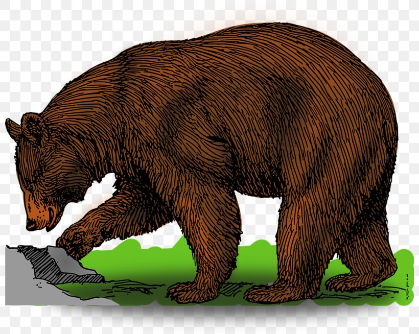Brown Bear, Brown Bear, What Do You See? American Black Bear Clip Art, PNG, 800x654px, Watercolor, Cartoon, Flower, Frame, Heart Download Free