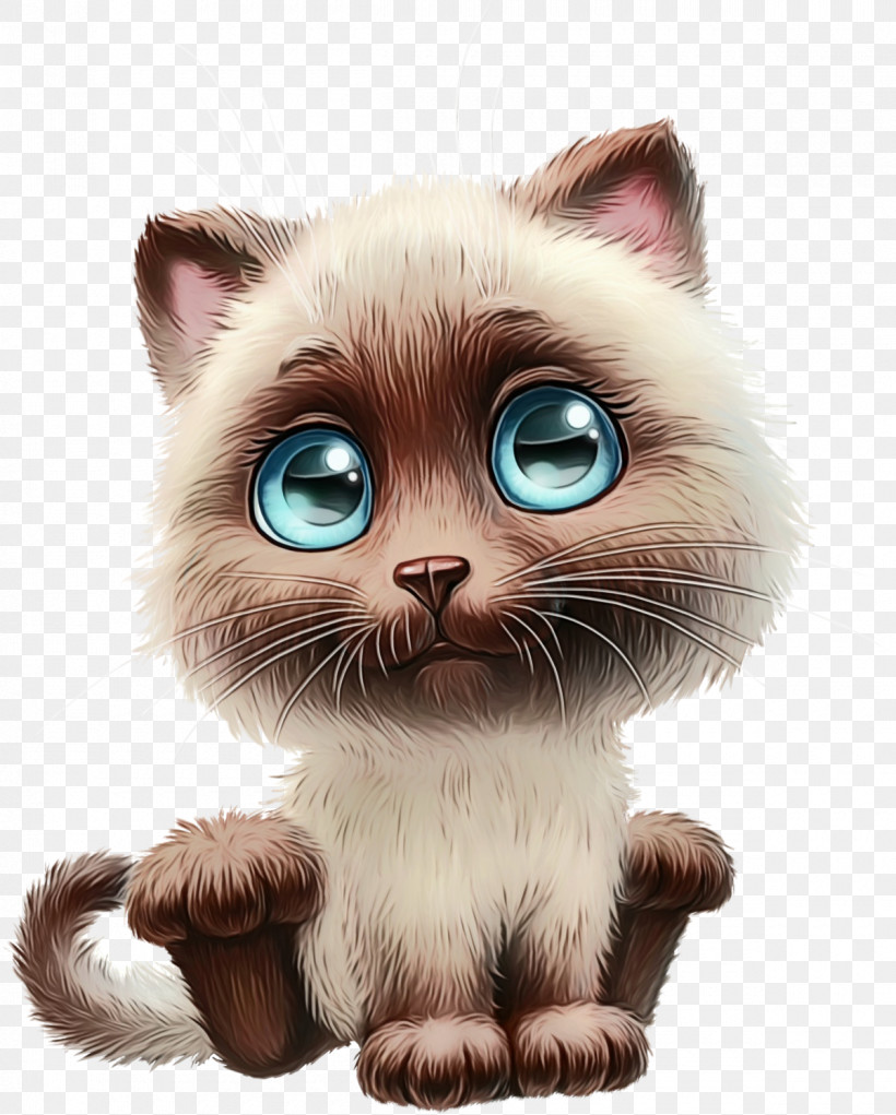 Cat Whiskers Small To Medium-sized Cats Nose Snout, PNG, 1200x1495px, Watercolor, American Curl, Animation, Asian, Birman Download Free