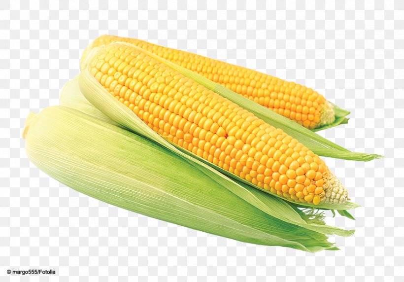 Corn On The Cob Sweet Corn Maize Corn Kernel Food, PNG, 877x612px, Corn On The Cob, Commodity, Corn Kernel, Corn Kernels, Food Download Free