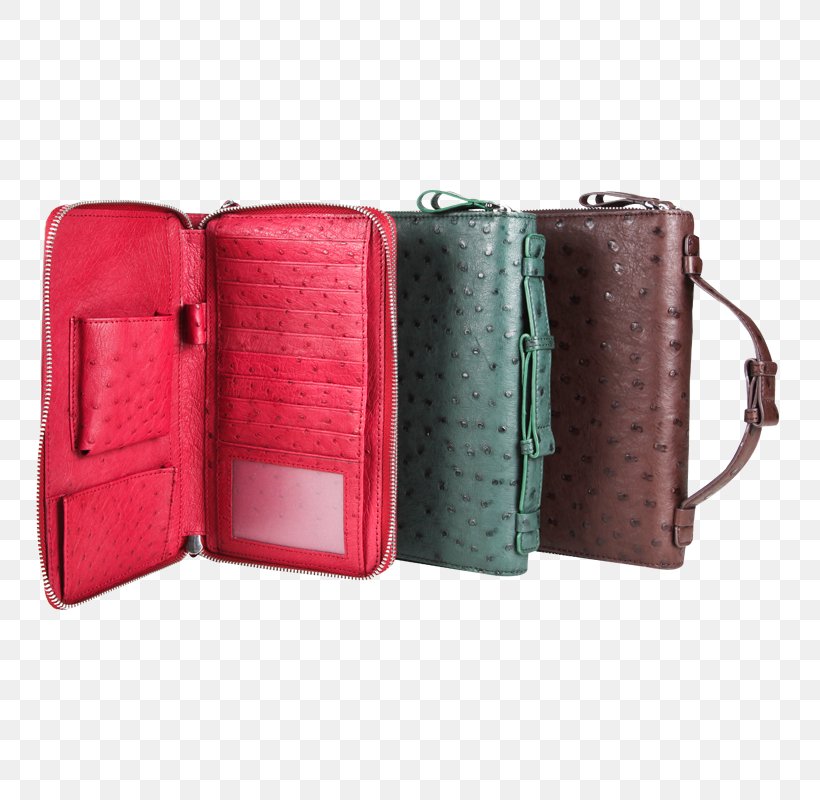 Handbag Coin Purse Product Design Wallet Leather, PNG, 800x800px, Handbag, Bag, Coin, Coin Purse, Fashion Accessory Download Free