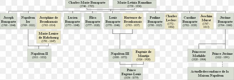 Napoleonic Wars House Of Bonaparte Genealogy Family History, PNG, 1094x377px, Napoleonic Wars, Capacitor, Carlo Buonaparte, Circuit Component, Diagram Download Free