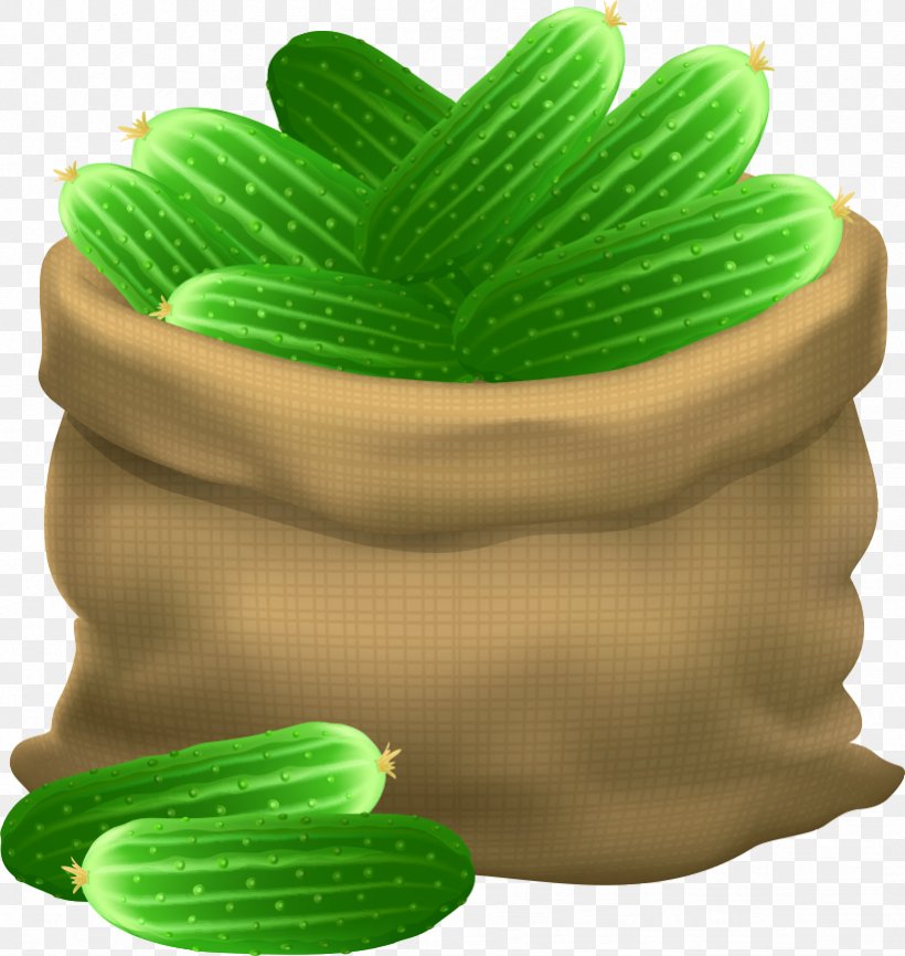 Cucumber Illustration, PNG, 821x868px, Cucumber, Alternative Medicine, Cartoon, Computer Graphics, Flowerpot Download Free