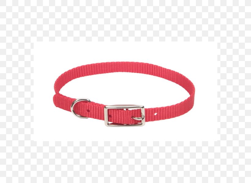 Dog Collar Dog Harness Pet, PNG, 600x600px, Dog, Belt, Belt Buckle, Belt Buckles, Buckle Download Free