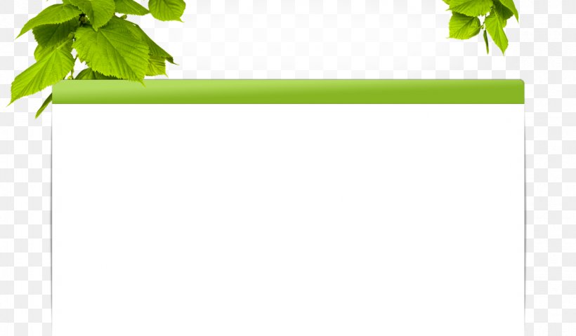 Leaf Green Tree Line, PNG, 1160x679px, Leaf, Grass, Green, Lindens, Plant Download Free