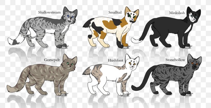 Cat Coat Genetics Kitten Warriors Fur, PNG, 1024x525px, Cat, Animal Figure, Calico Cat, Carnivoran, Cat Coat Genetics Download Free