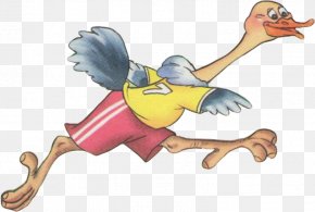 Duck - Duck Common Ostrich Chicken Flightless Bird PNG
