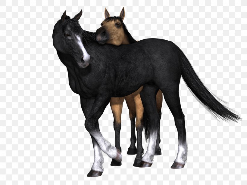 Foal Mustang Photo Manipulation Clip Art, PNG, 1280x960px, Foal, Animal, Animal Sauvage, Clipping Path, Colt Download Free