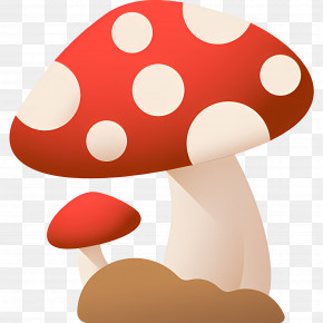 Mushroom - Cartoon Red Spotted Mushroom Illustration PNG