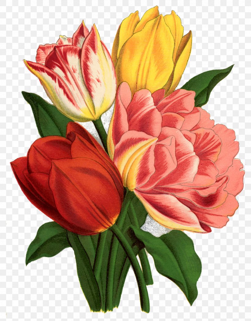 Tattoo Tulip Flower Clip Art, PNG, 1173x1500px, Tattoo, Annual Plant, Art, Botanical Illustration, Botany Download Free