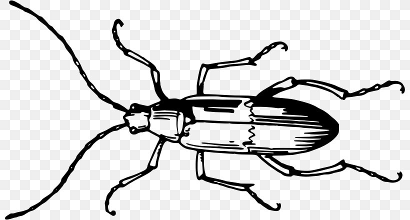 Beetle Clip Art, PNG, 800x440px, Beetle, Arthropod, Artwork, Auto Part, Black And White Download Free
