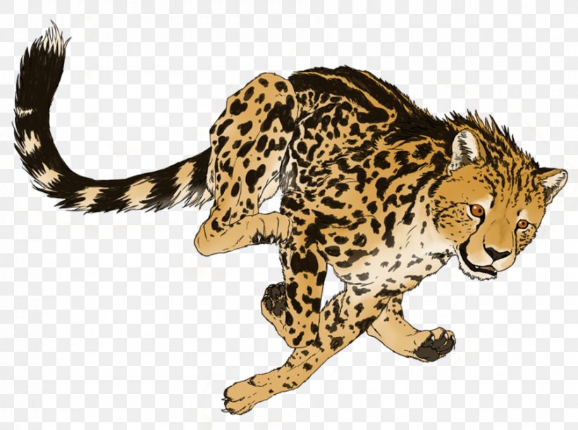 Cheetah Cat, PNG, 900x671px, Cheetah, Animal, Art, Big Cat, Big Cats Download Free