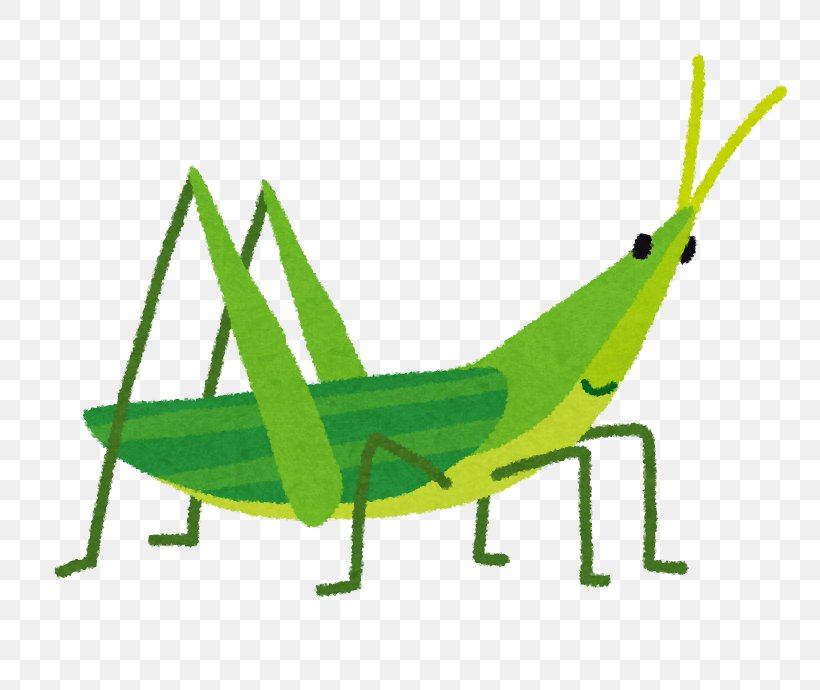 Chinese Grasshopper Caelifera Insect Entomophagy Bait, PNG, 796x690px, Chinese Grasshopper, Animal, Bait, Blog, Caelifera Download Free