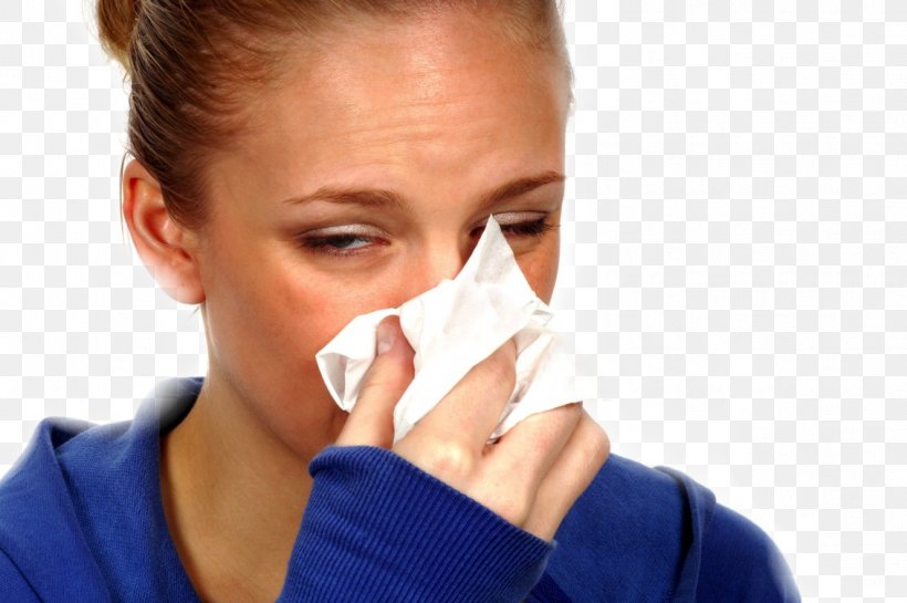 Common Cold Allergy Sinusitis Influenza Immune System, PNG, 1133x754px, Common Cold, Allergy, Cure, Disease, Ear Download Free