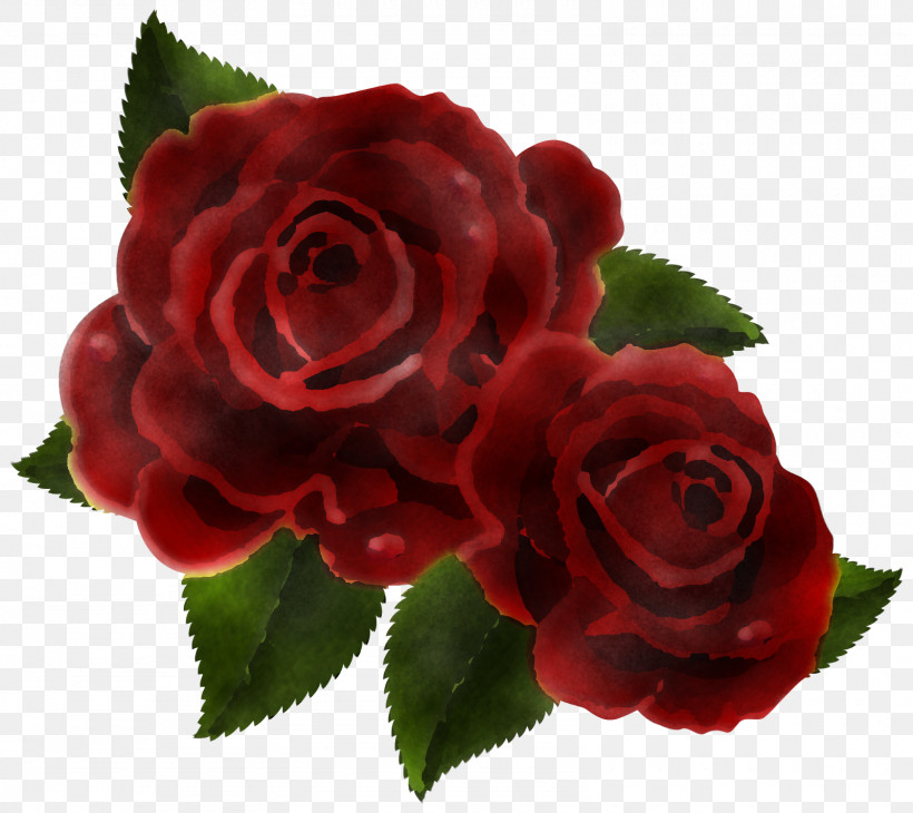 Garden Roses, PNG, 1600x1425px, Flower, Floribunda, Garden Roses, Hybrid Tea Rose, Petal Download Free