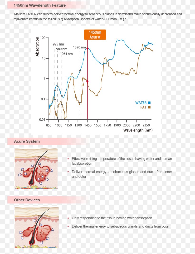 Organism Line Angle, PNG, 765x1066px, Watercolor, Cartoon, Flower, Frame, Heart Download Free