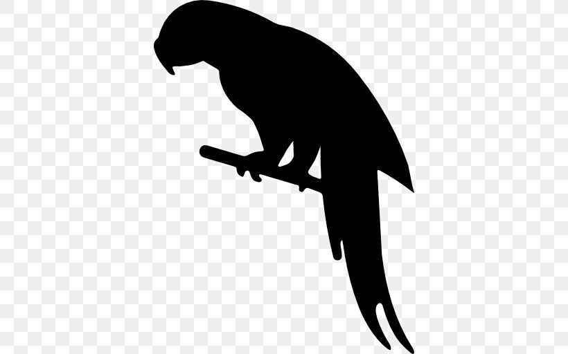 Parrot Bird Chinchilla Silhouette, PNG, 512x512px, Parrot, Animal, Beak, Bird, Black Download Free