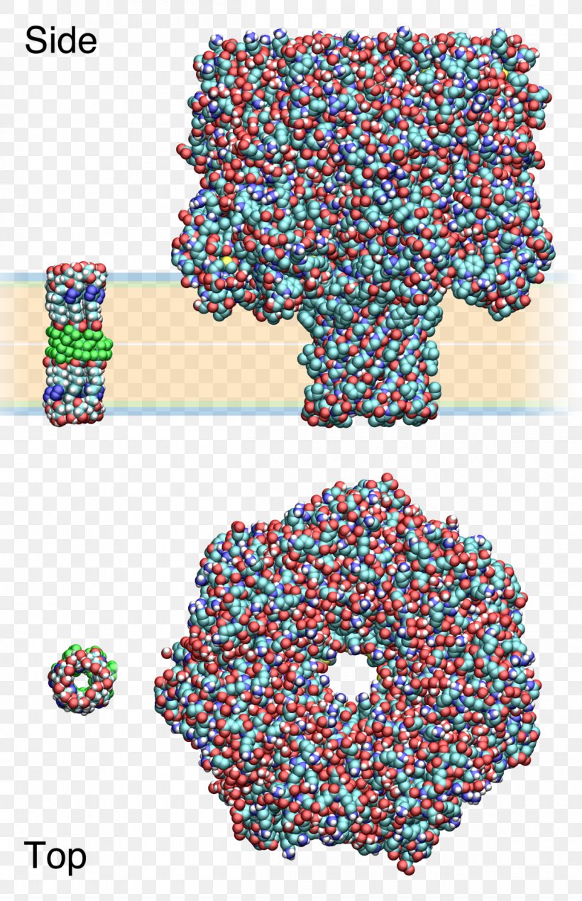 Synthetic Ion Channels Hemolysin Cyclodextrin, PNG, 1200x1859px, Ion Channel, Anioi, Area, Cation, Chemistry Download Free