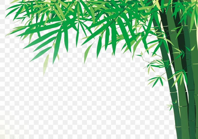 Bamboo Illustration, PNG, 1770x1251px, Bamboo, Bamboo Floor, Drawing, Flowerpot, Grass Download Free