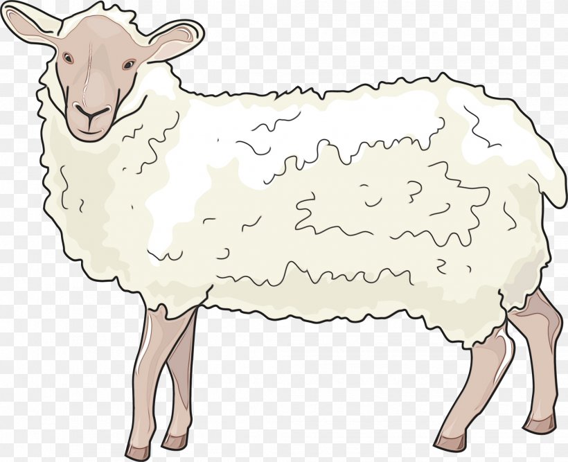 Barbary Sheep Cattle Ox Goat, PNG, 2032x1654px, Sheep, Animal, Animal Figure, Barbary Sheep, Bovidae Download Free