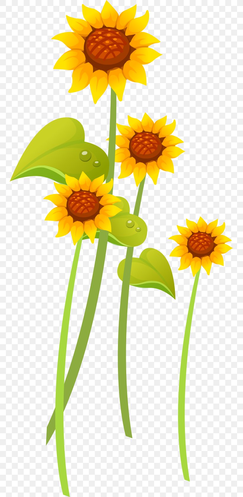 Common Sunflower, PNG, 754x1675px, Common Sunflower, Cartoon, Chamaemelum Nobile, Cut Flowers, Daisy Download Free
