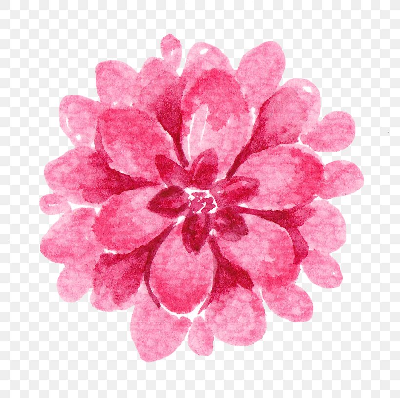 Drawing Flower Watercolor Painting Illustration, PNG, 776x817px, Drawing, Blossom, Cherry Blossom, Cut Flowers, Dahlia Download Free