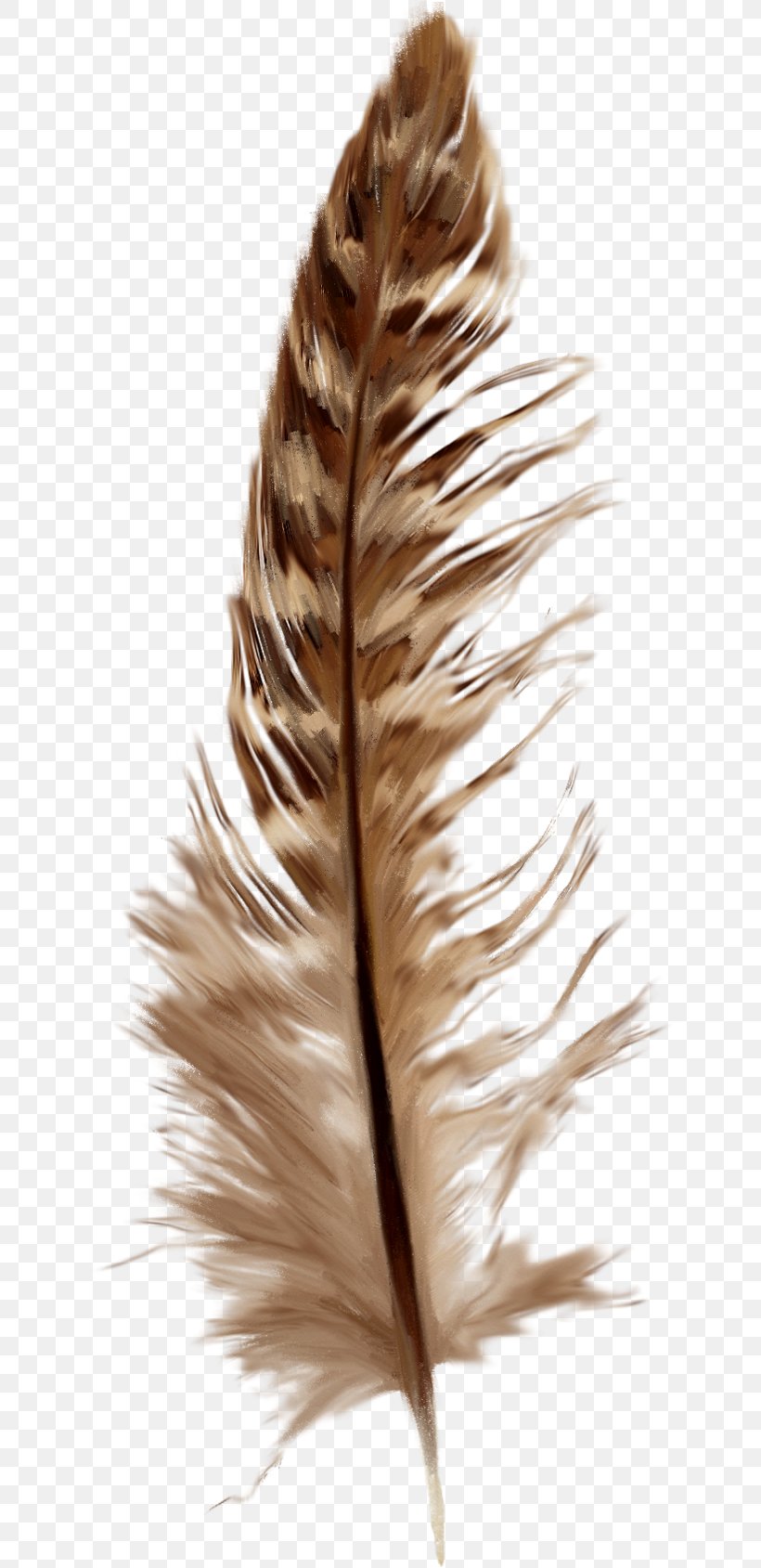 Feather Goose Clip Art, PNG, 640x1689px, Feather, Blog, Brown, Creativity, Designer Download Free