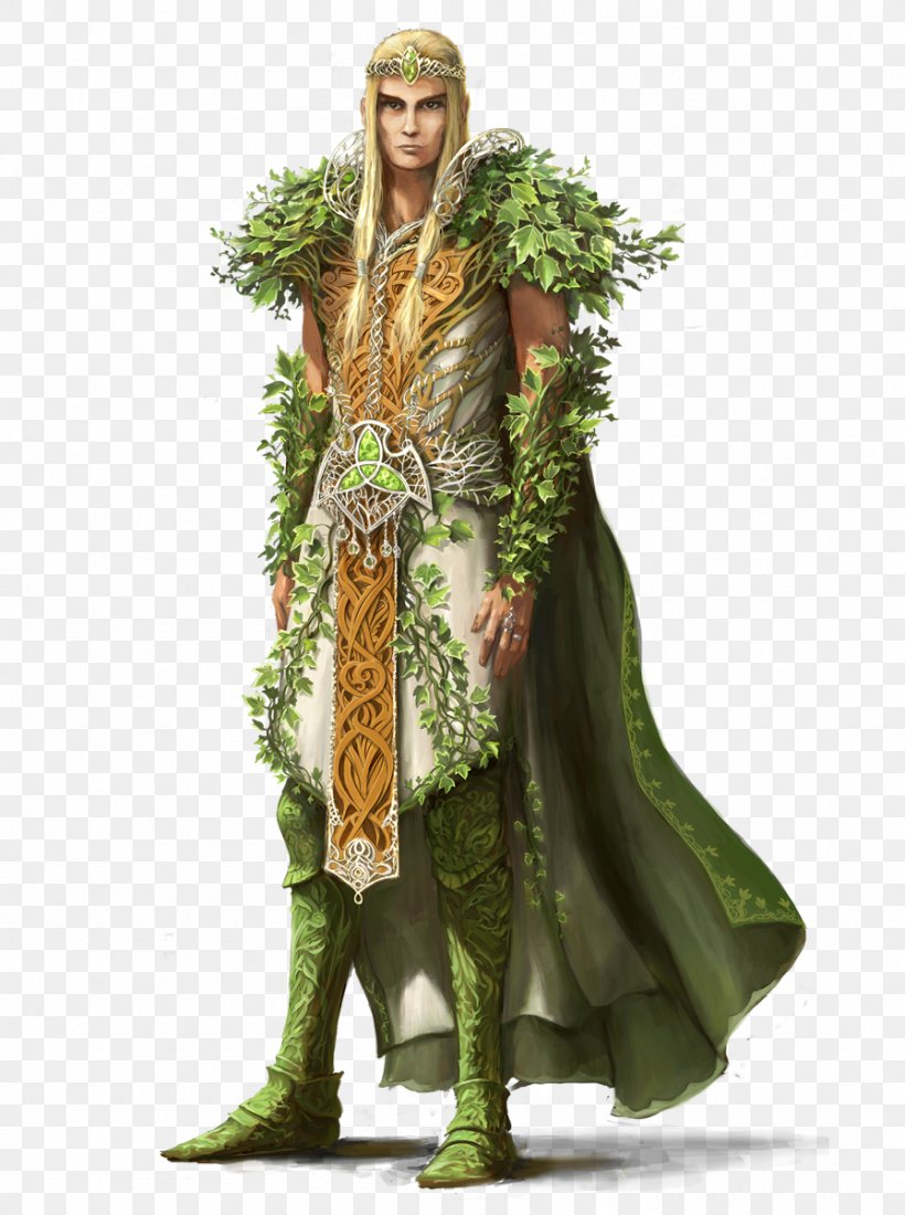 Druid Dungeons & Dragons Pathfinder Roleplaying Game D20 System Elf, PNG, 896x1202px, Druid, Costume, Costume Design, D20 System, Dungeons Dragons Download Free