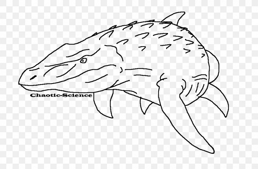 Mosasaurus Line Art Drawing Tylosaurus, PNG, 1000x655px, Mosasaurus, Area, Artwork, Beak, Black And White Download Free