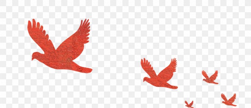 Red Flying Bird Flight Hawk, PNG, 1176x509px, Bird, Android, Beak, Cinereous Vulture, Flight Download Free