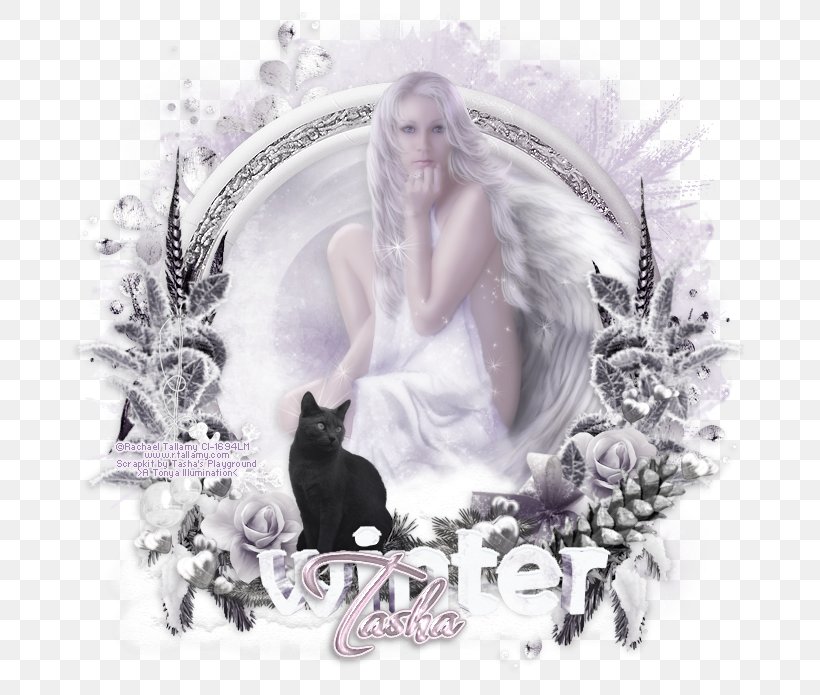 Stock Photography Picture Frames Connecticut Lavender, PNG, 682x695px, Photography, Angel, Christmas, Connecticut, Fictional Character Download Free