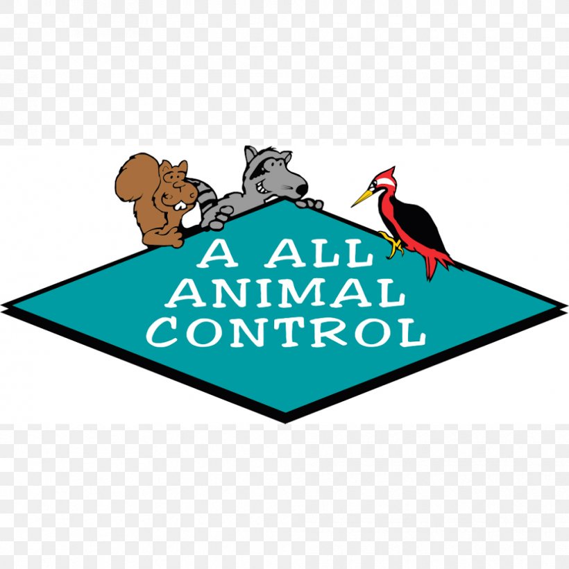 A All Animal Control Of Tampa Bay Nuisance Wildlife Management Animal Control And Welfare Service, PNG, 990x990px, Wildlife, Animal, Animal Control And Welfare Service, Animal Shelter, Area Download Free