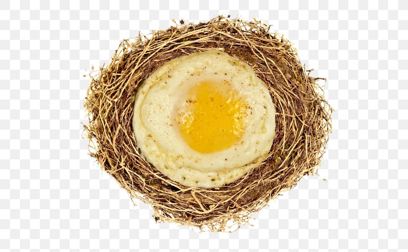 Fried Egg Nest Royalty-free, PNG, 576x506px, Fried Egg, Bird Nest, Egg, Free, Frying Download Free