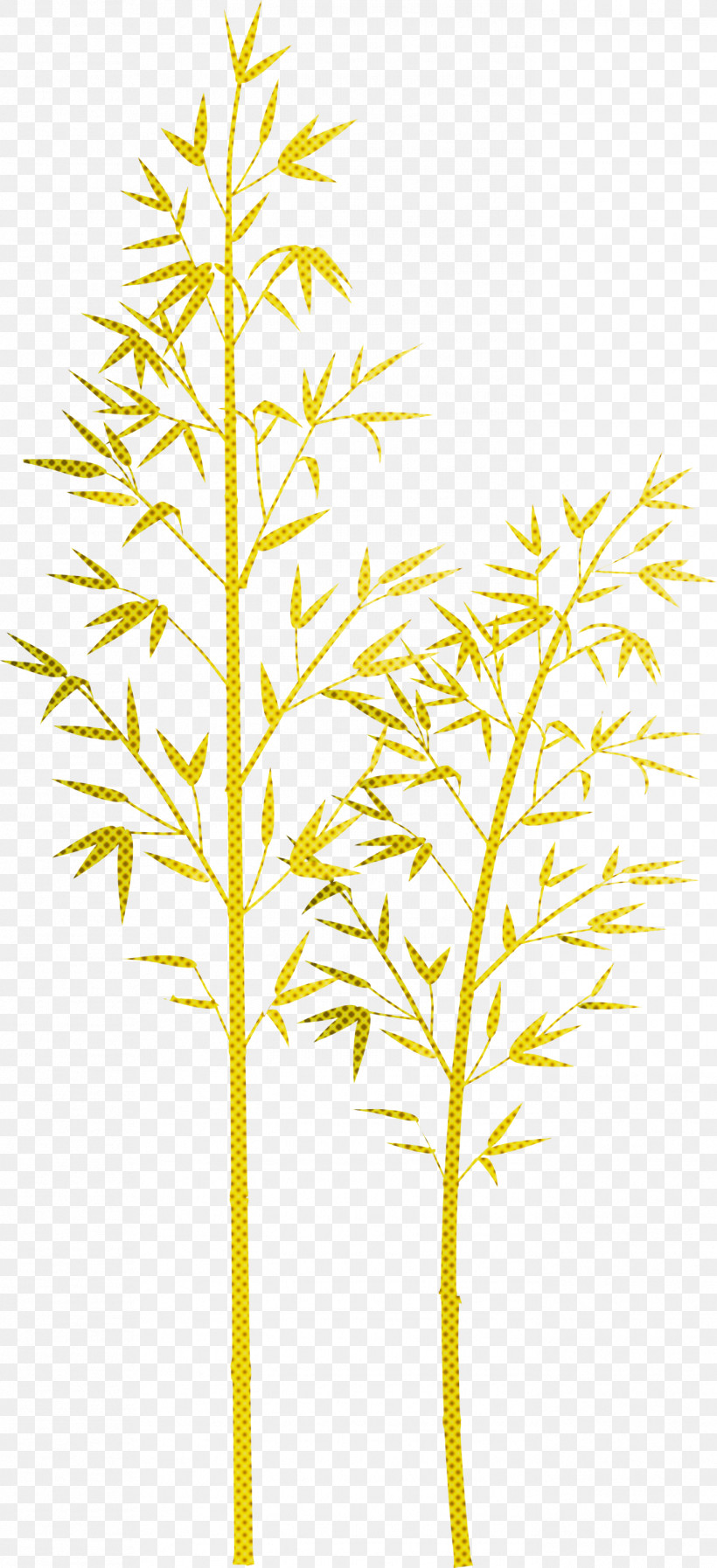 Bamboo Leaf, PNG, 1371x3000px, Bamboo, Flower, Grass, Grass Family, Leaf Download Free