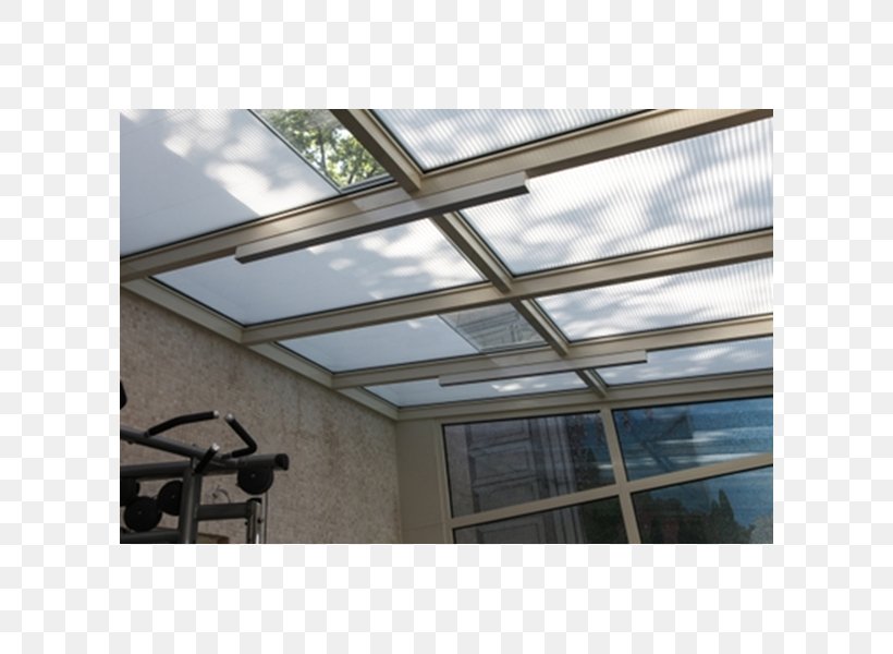 Glass Insulated Glazing Roof Pleated Blinds, PNG, 600x600px, Glass, Architectural Engineering, Building Insulation, Ceiling, Curtain Download Free