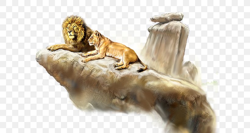 Lion Tiger, PNG, 611x436px, Lion, Big Cats, Carnivoran, Cat Like Mammal, Display Resolution Download Free