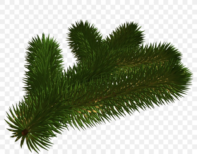 Spruce Fir Christmas Day Christmas Designs Christmas Tree, PNG, 941x735px, Spruce, Branch, Christmas Day, Christmas Designs, Christmas Ornament Download Free