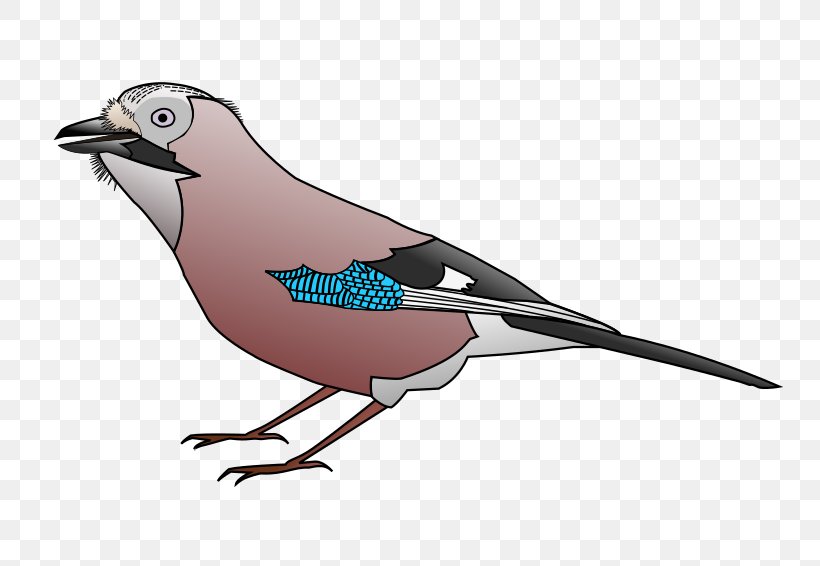 Welsummer Bird Windows Metafile Clip Art, PNG, 800x566px, Welsummer, Beak, Bird, Chicken, Fauna Download Free