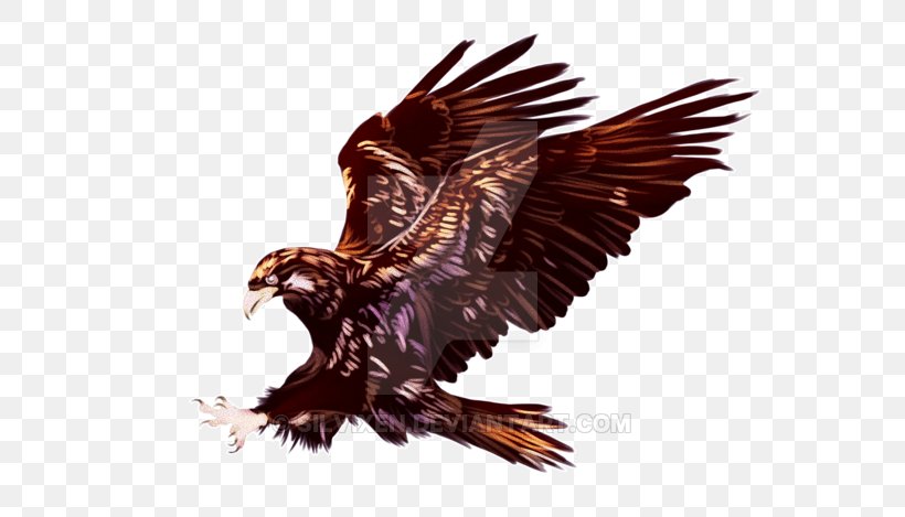 Bald Eagle Hawk Vulture Beak, PNG, 600x469px, Bald Eagle, Accipitriformes, Beak, Bird, Bird Of Prey Download Free