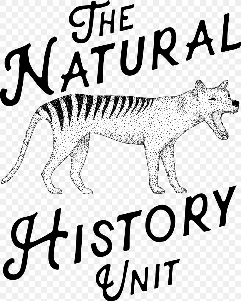 Cat Drawing, PNG, 1150x1441px, Cat, Animal, Animal Figure, Bbc Natural History Unit, Blackandwhite Download Free