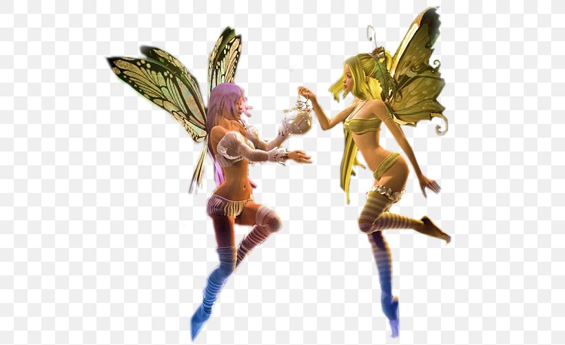 Fairy Elf Animaatio Nymph, PNG, 529x501px, Fairy, Animaatio, Computer Animation, Elf, Fictional Character Download Free