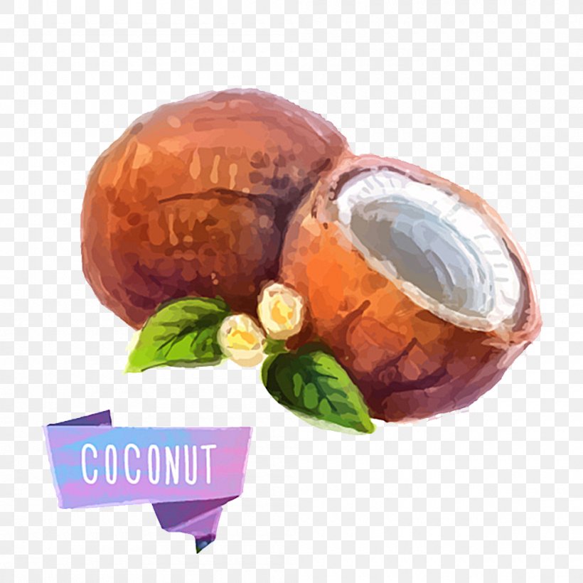 Fruit Watercolor Painting Illustration, PNG, 1000x1000px, Fruit, Coconut, Food, Painting, Superfood Download Free