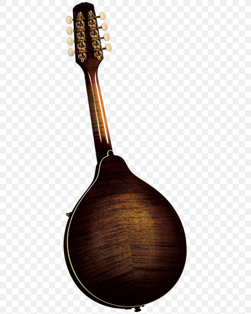 Mandolin Musical Instruments Musician Bağlama F-lyuk, PNG, 645x1024px, Watercolor, Cartoon, Flower, Frame, Heart Download Free