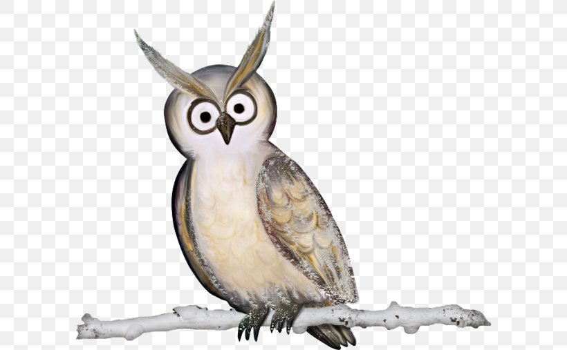 Owl Bird, PNG, 600x507px, Owl, Beak, Bird, Bird Of Prey, Cartoon Download Free