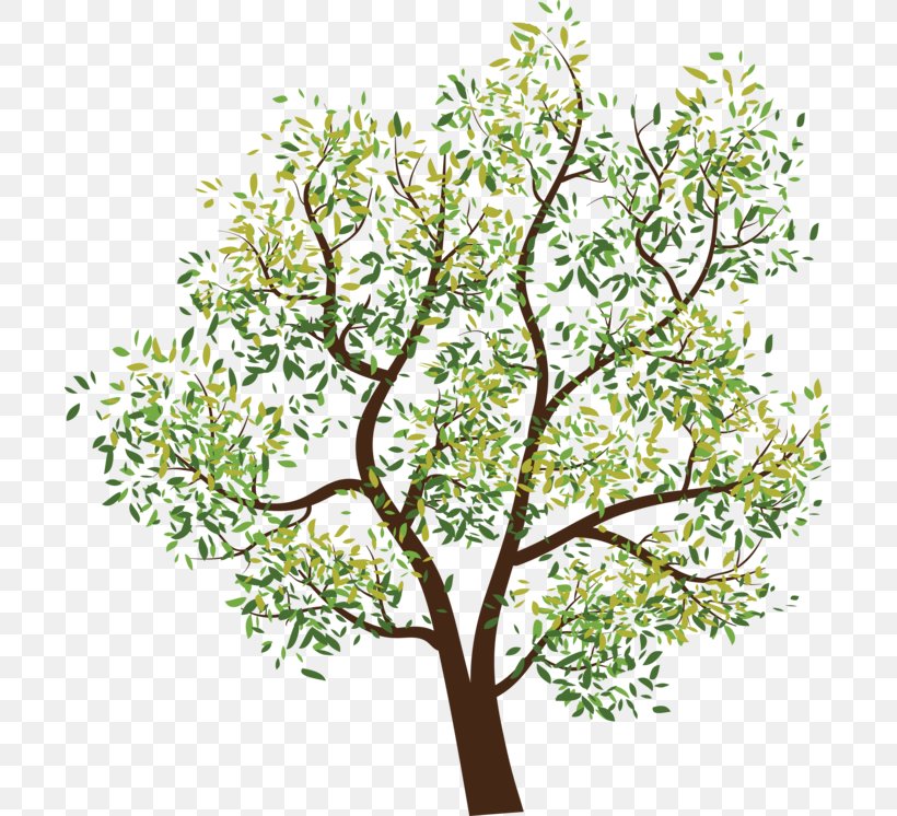 Tree Branch Clip Art, PNG, 701x746px, Tree, Branch, Clipping Path, Flora, Flower Download Free