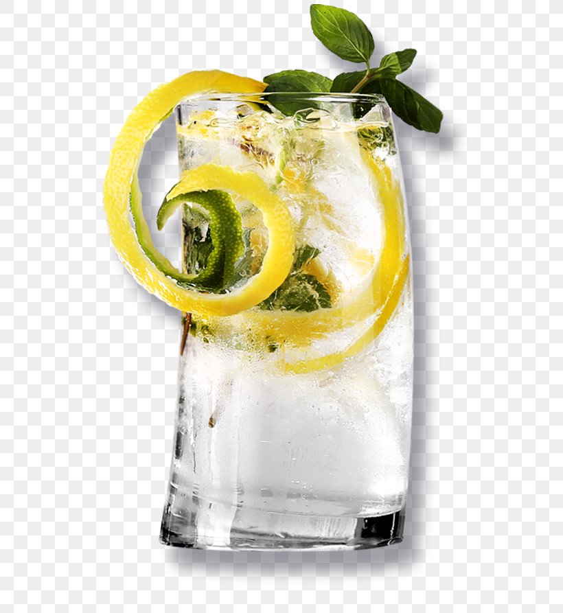 Cocktail Garnish Gin And Tonic Vodka Tonic, PNG, 575x893px, Cocktail Garnish, Alcoholic Beverage, Carbonated Water, Cocktail, Cocktail Glass Download Free