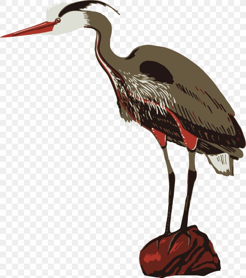 Crane Poster Zoo Heron, PNG, 2120x2400px, Crane, Beak, Bird, Ciconiiformes, Crane Like Bird Download Free