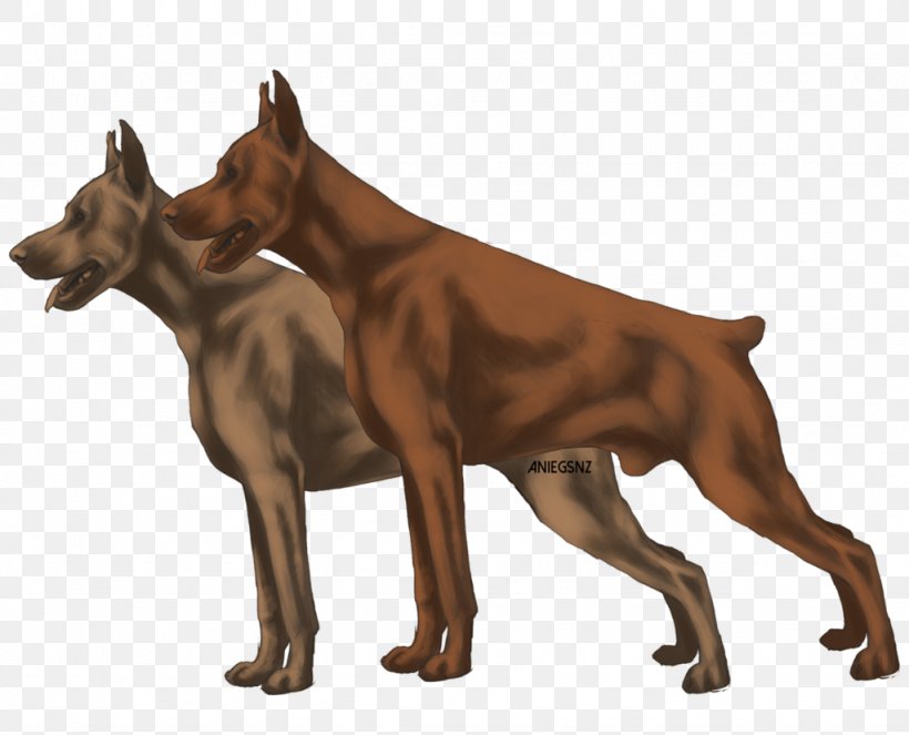 Dobermann German Pinscher Dog Breed Guard Dog, PNG, 1024x829px, Dobermann, Breed, Carnivoran, Dog, Dog Breed Download Free