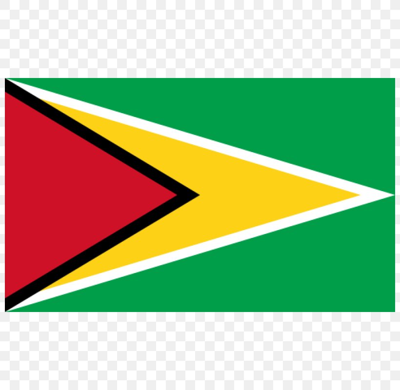 Flag Of Guyana Flags Of South America Flag Of The United States, PNG, 800x800px, Guyana, Area, Brand, Country, Flag Download Free