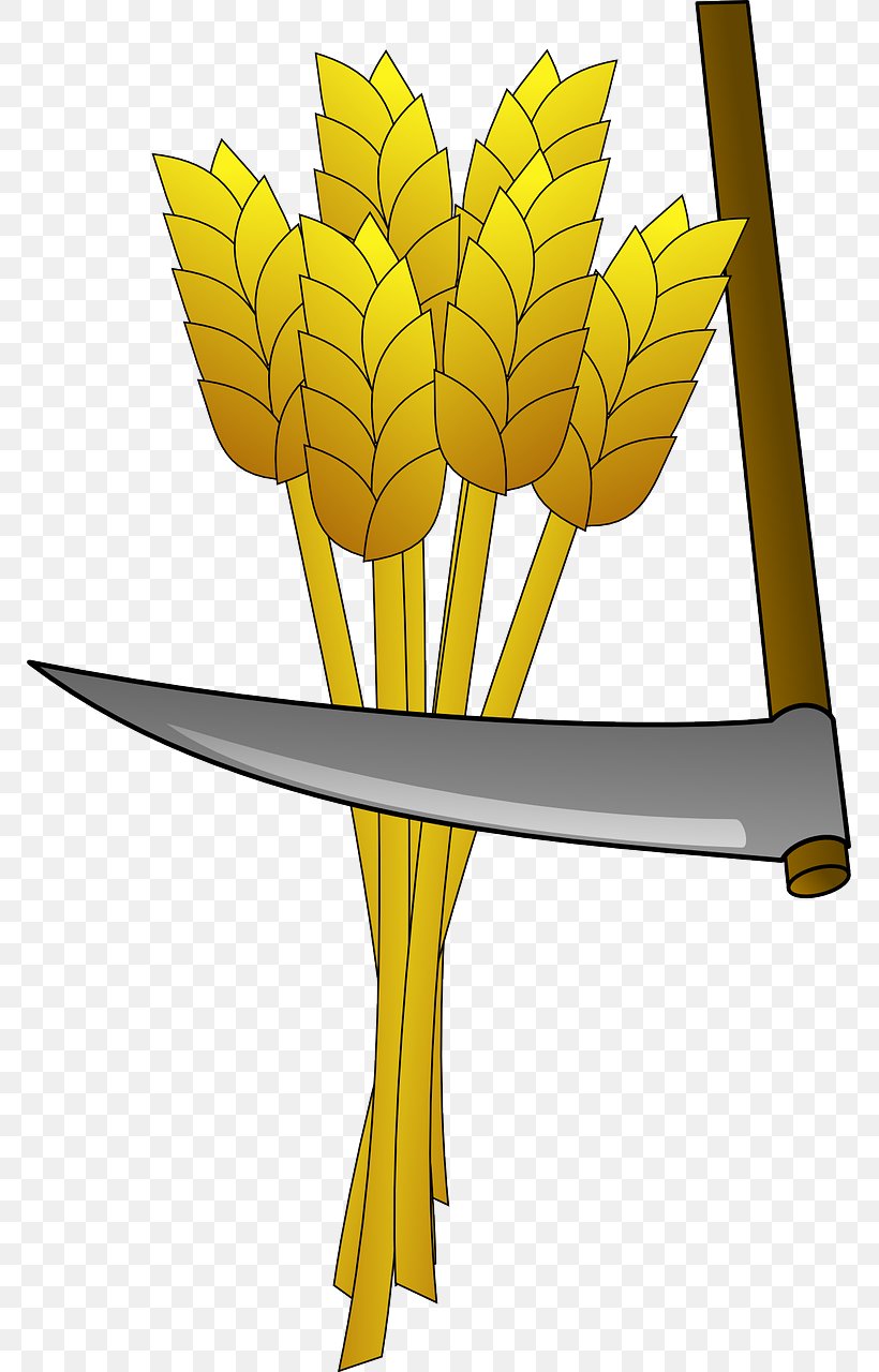 Sickle Agriculture Scythe Clip Art, PNG, 769x1280px, Sickle, Agriculture, Branch, Commodity, Flower Download Free