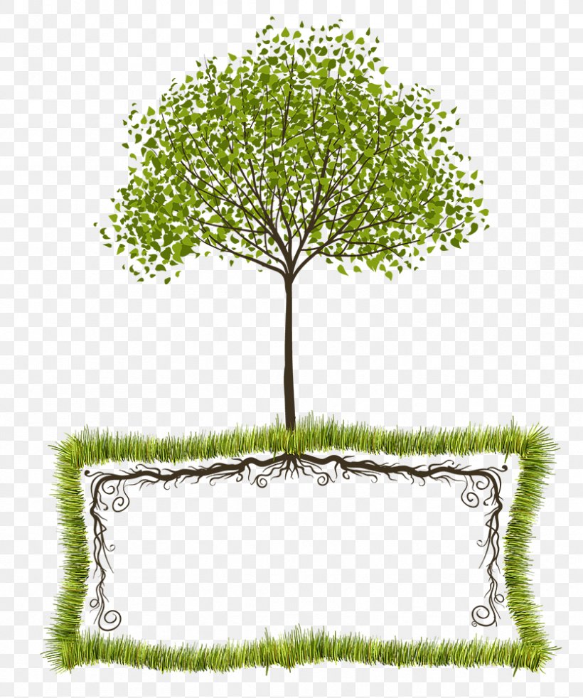 Tree Text Box Clip Art, PNG, 834x999px, Tree, Branch, Flora, Flowering Plant, Grass Download Free